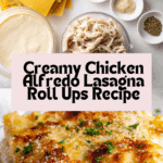 Chicken Alfredo Lasagna Roll Ups Recipe