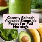 Spinach Avocado Smoothie Recipe
