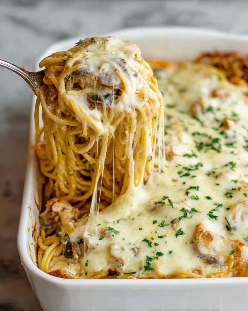 Chicken Tetrazzini Recipe
