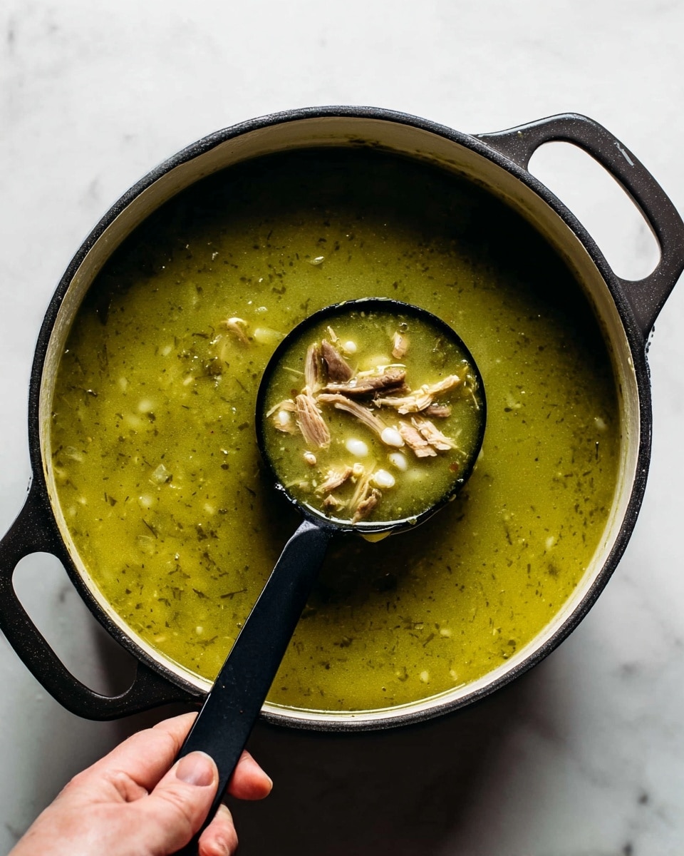 A black ladle is held by a woman's hand over a large pot of green soup. The soup has a smooth, slightly thick texture with bits of shredded light brown meat and small white round grains floating in it. The pot is black on the outside and white on the inside, sitting on a white marbled surface. Photo taken with an iphone --ar 4:5 --v 7