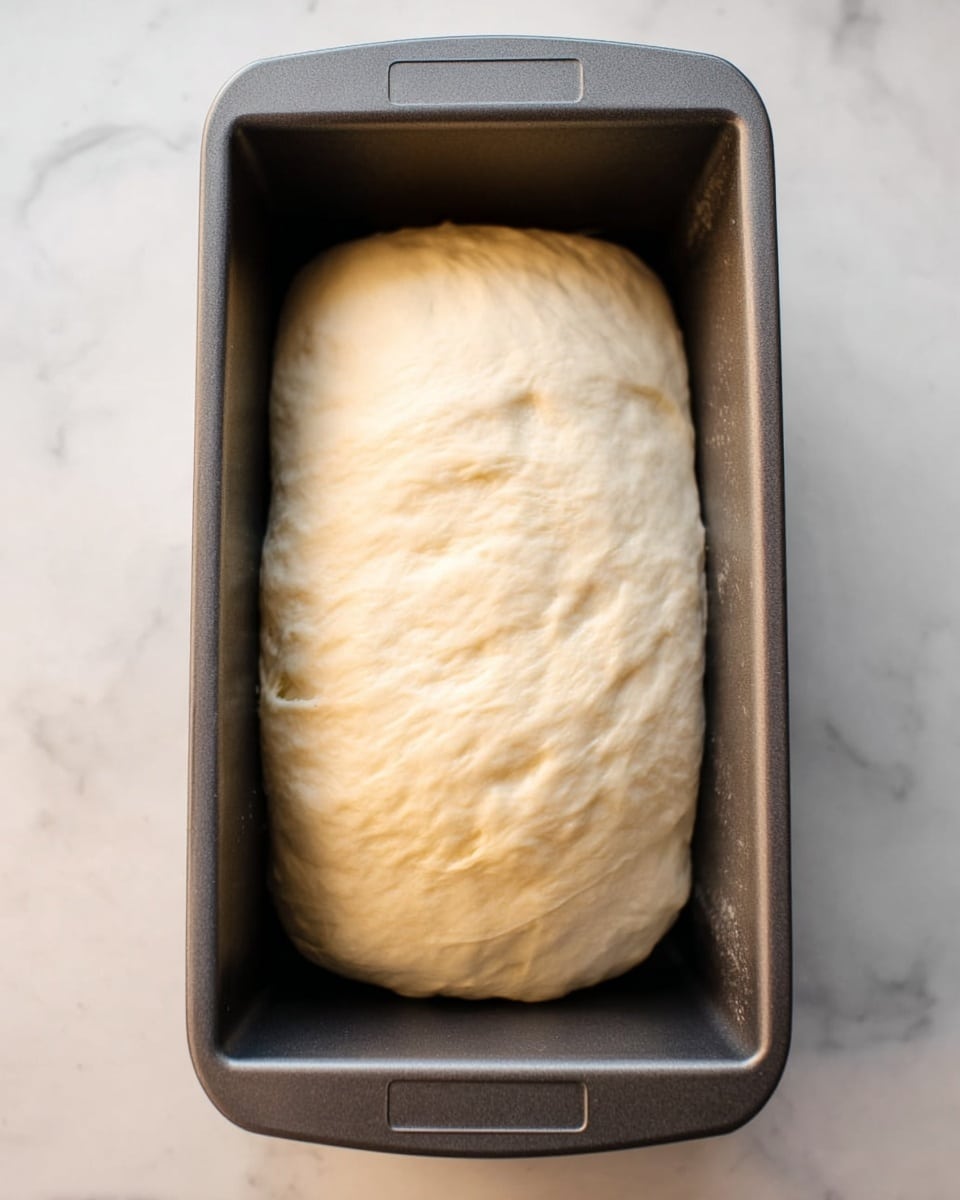 A single smooth, pale dough ball rests inside a dark gray metal loaf pan. The dough has a soft, slightly shiny texture with gentle wrinkles on its surface, stretching to fill most of the pan's interior. The loaf pan sits on a white marbled surface, adding a clean and bright background that contrasts with the darker pan and light dough. photo taken with an iphone --ar 4:5 --v 7