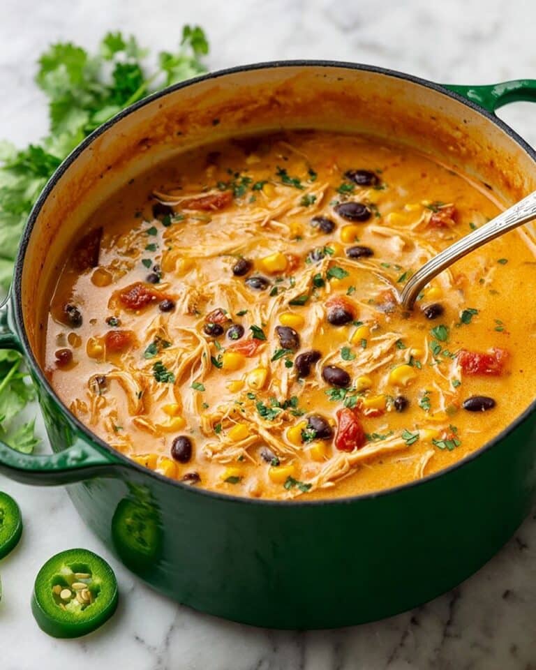 Creamy Chicken Enchilada Soup Recipe