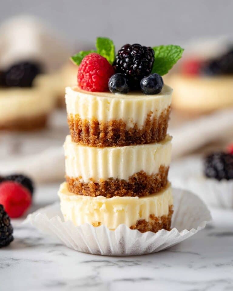 Mini Protein Cheesecakes with Greek Yogurt and Graham Cracker Crust Recipe