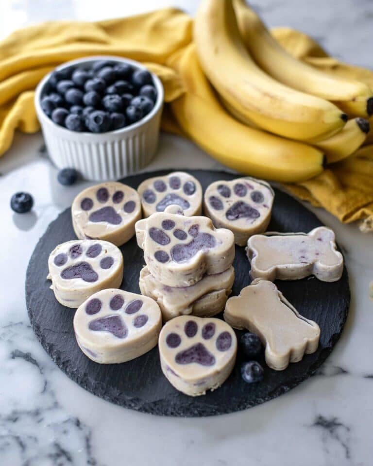 Frozen Banana Blueberry Dog Treats Recipe